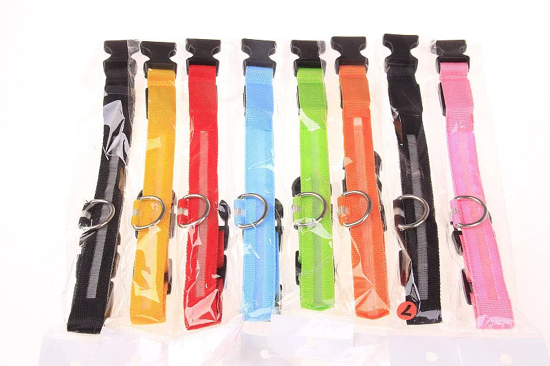 Nylon LED Night Safety Flashing Glow In The Dark Dog Leash