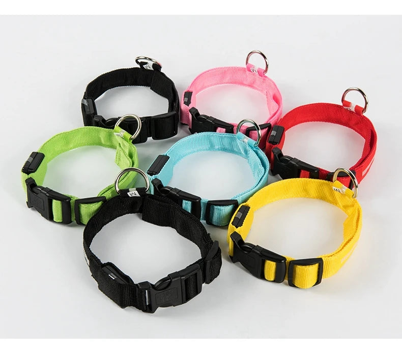 Nylon LED Night Safety Flashing Glow In The Dark Dog Leash