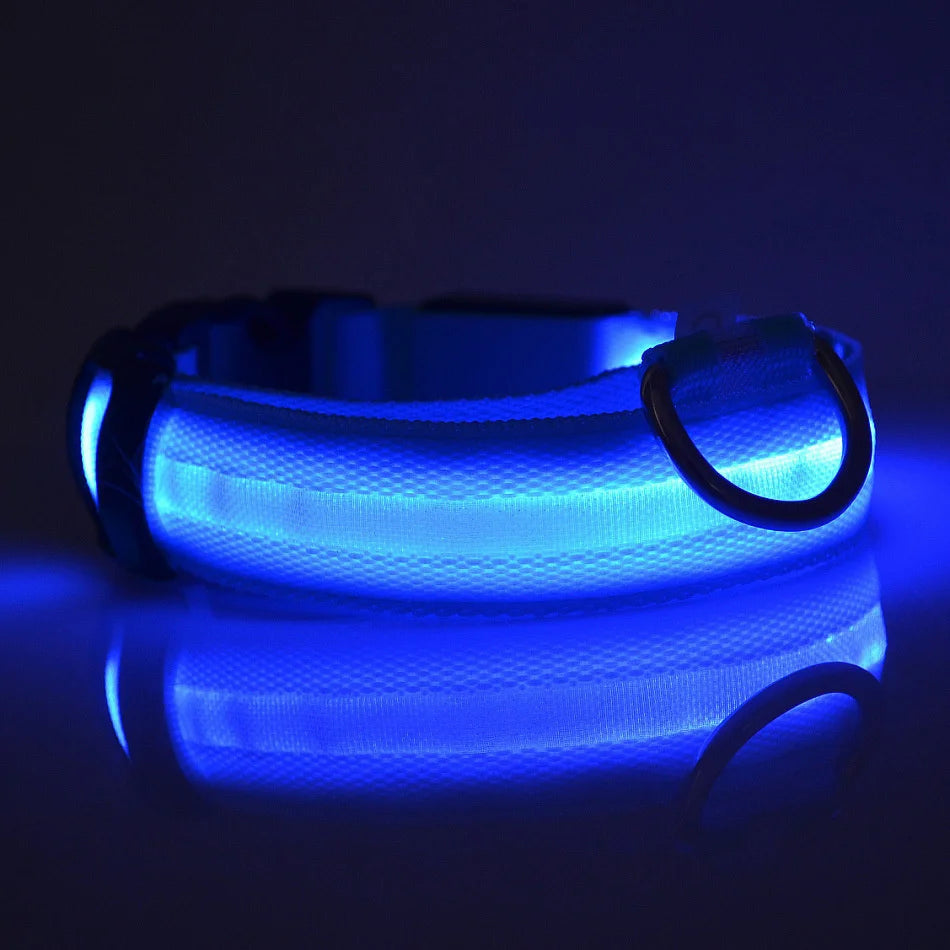 Nylon LED Night Safety Flashing Glow In The Dark Dog Leash