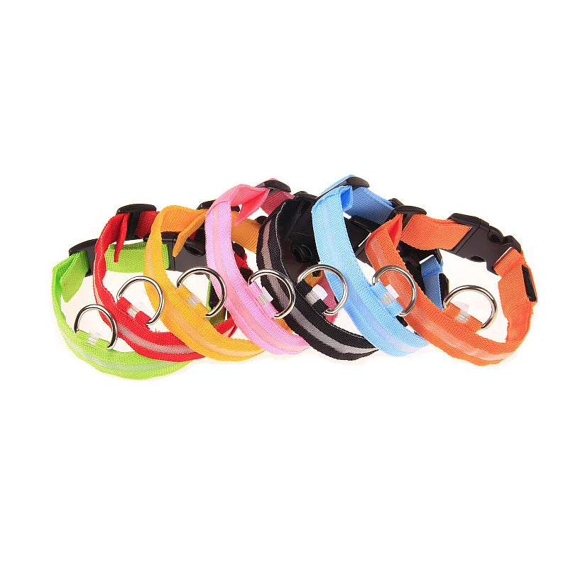 Nylon LED Night Safety Flashing Glow In The Dark Dog Leash