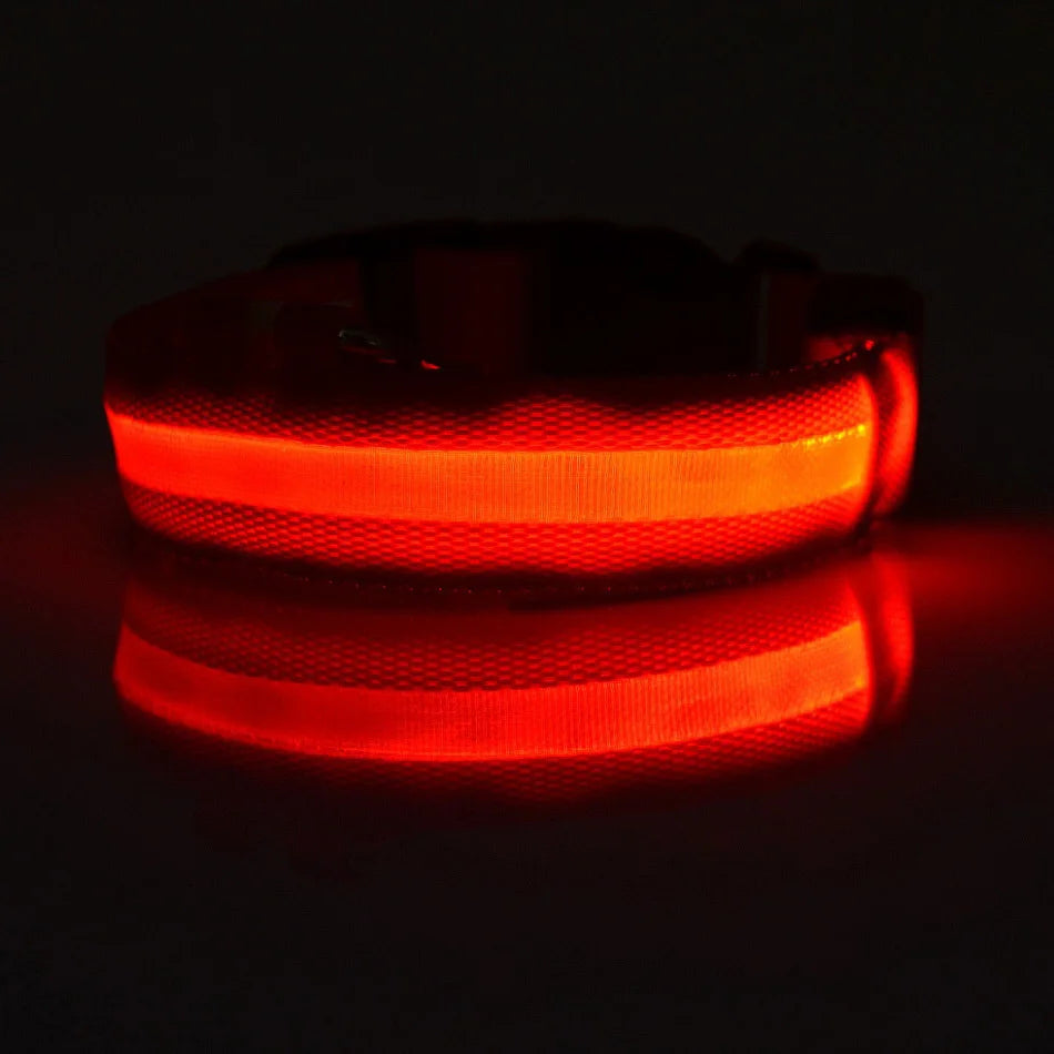 Nylon LED Night Safety Flashing Glow In The Dark Dog Leash
