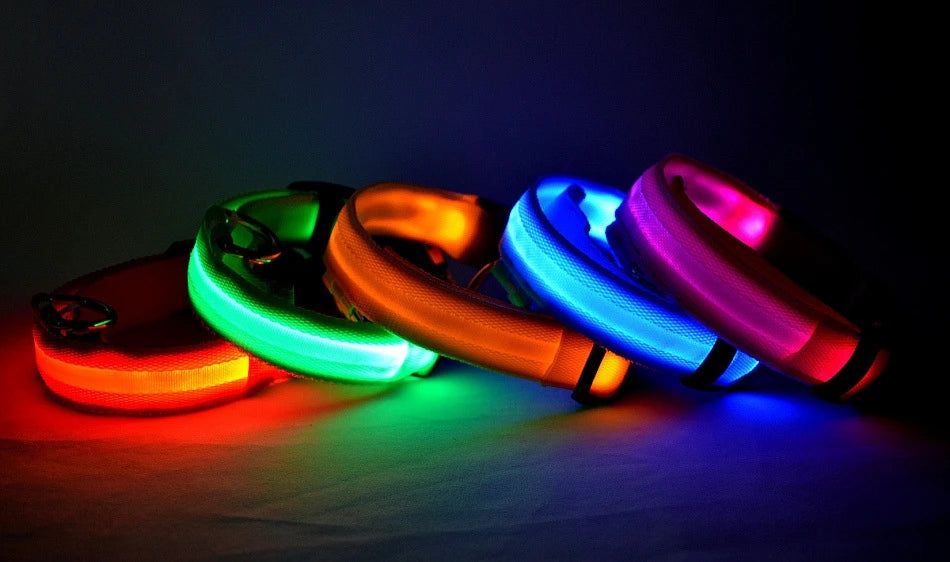 Nylon LED Night Safety Flashing Glow In The Dark Dog Leash